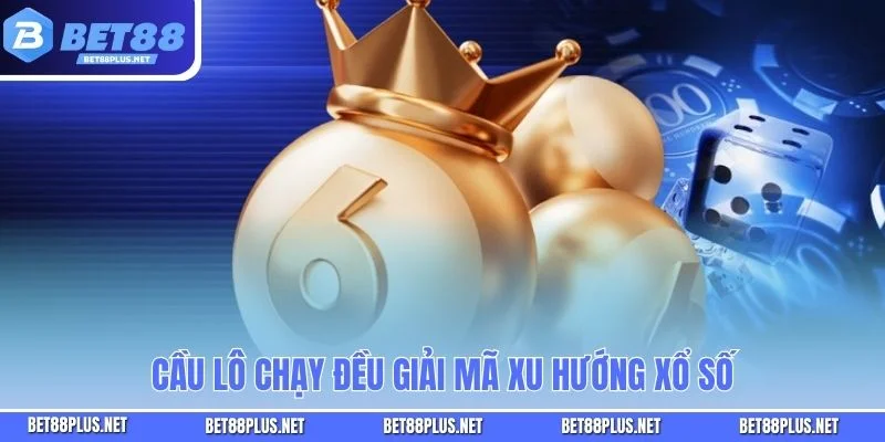 Cầu lô chạy đều giải mã xu hướng xổ số