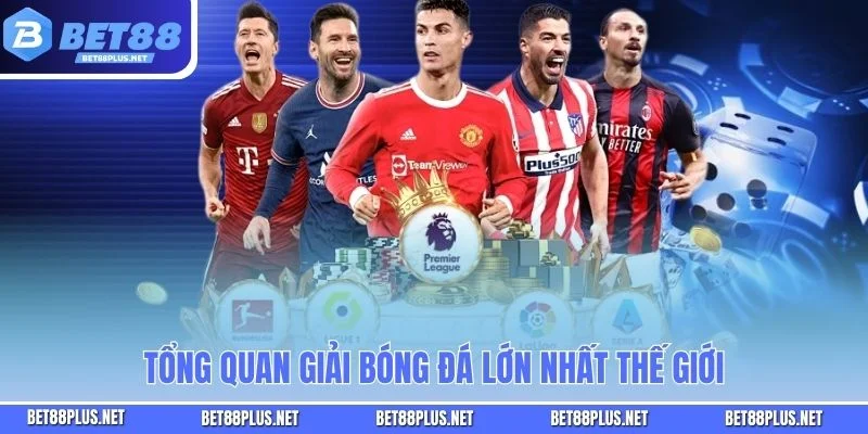 Tổng quan giải bóng đá lớn nhất thế giới