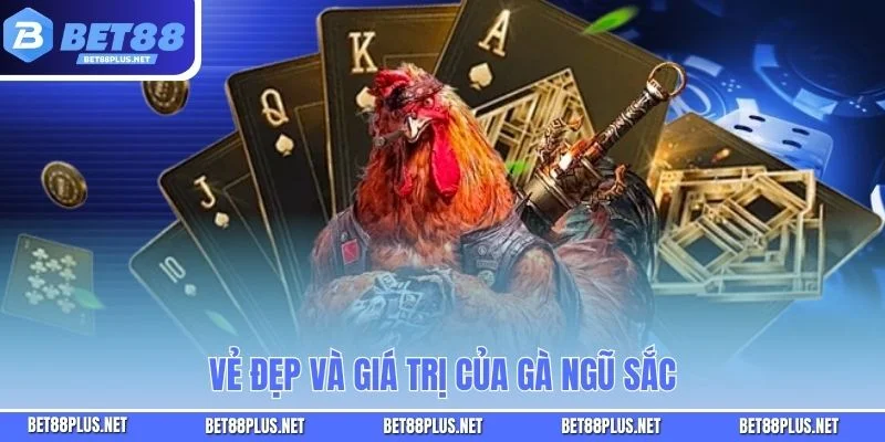 Vẻ đẹp và giá trị của gà ngũ sắc